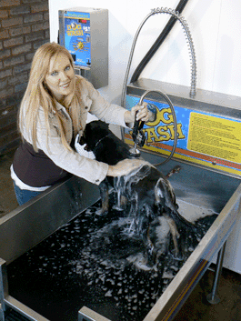 Self Serve Dog Wash Picture